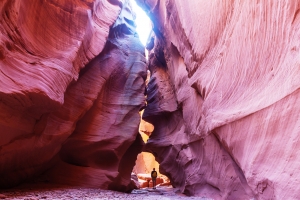 Things to Do on Your Grand Canyon Vacation Things to Do on Your Grand Canyon Vacation